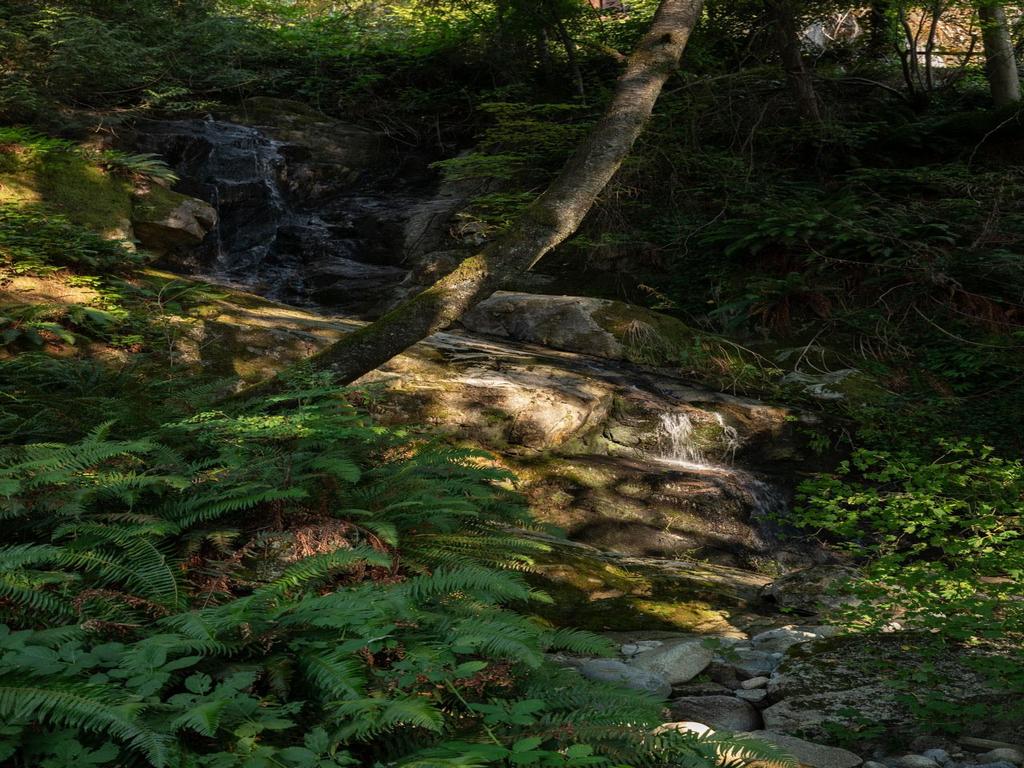 Listing Image for R3044418