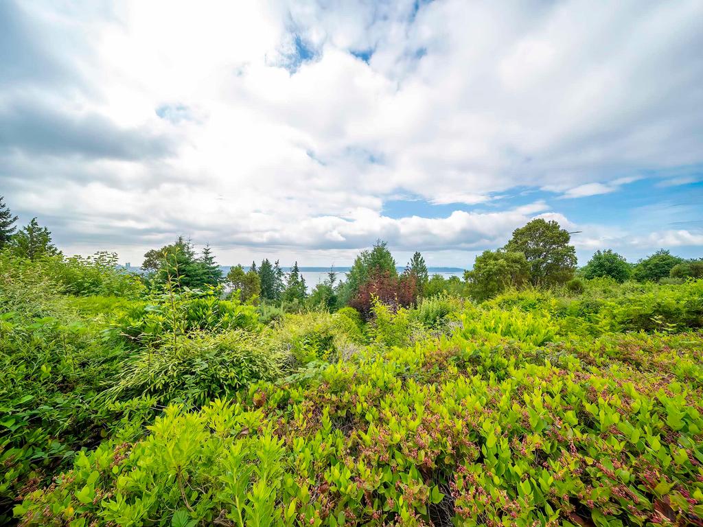 Listing Image for R3045136