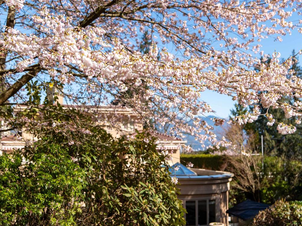 Listing Image for R3047947