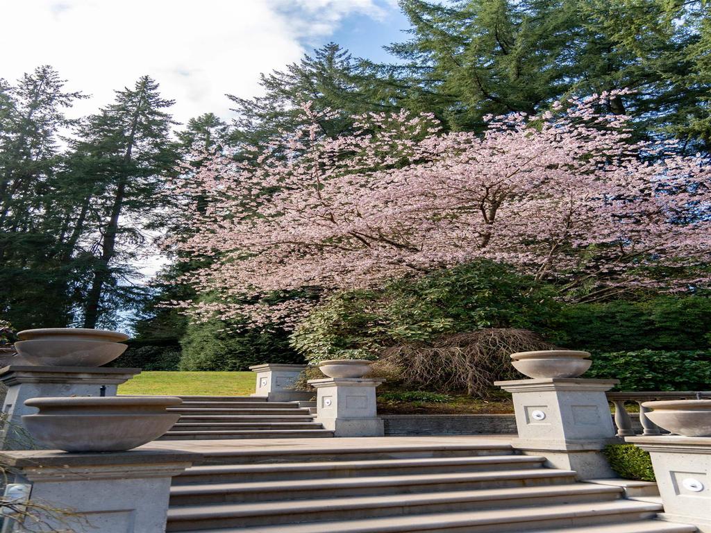 Listing Image for R3047947