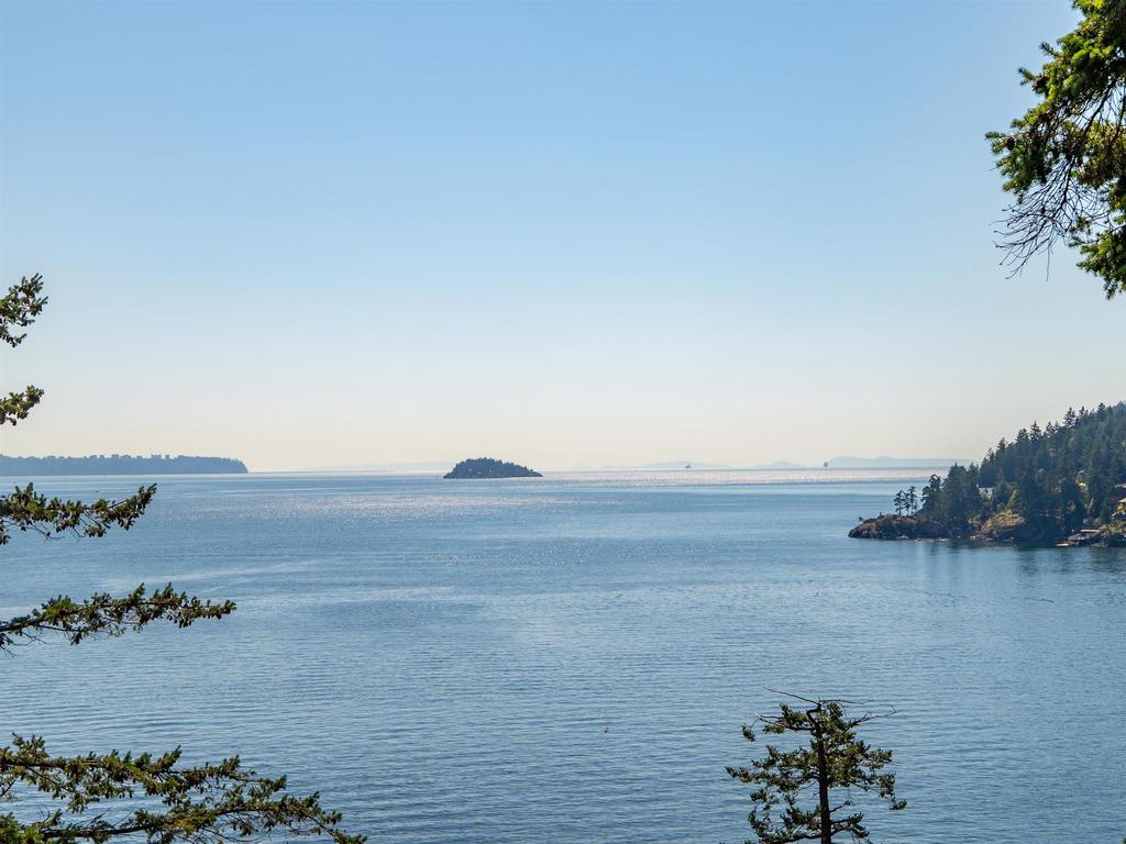 Listing Image for R3049406