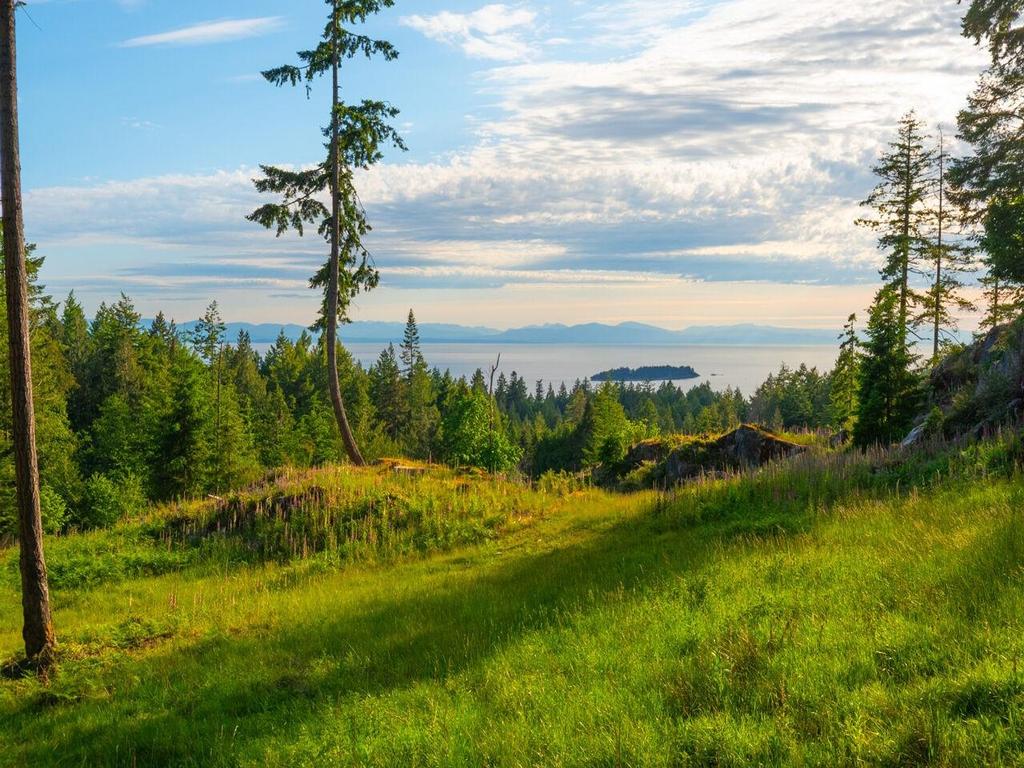 Listing Image for R3049725