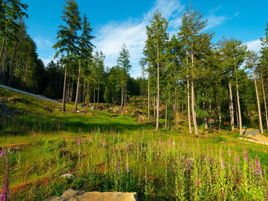 Listing Image for R3049725