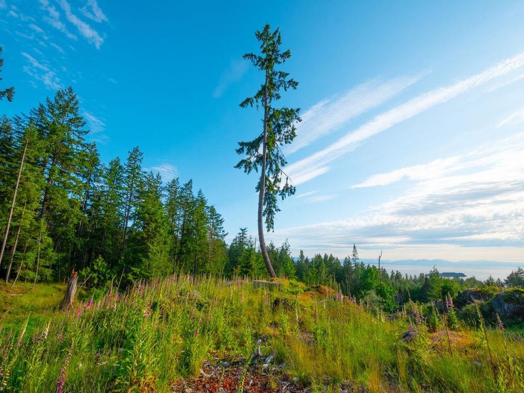 Listing Image for R3049725