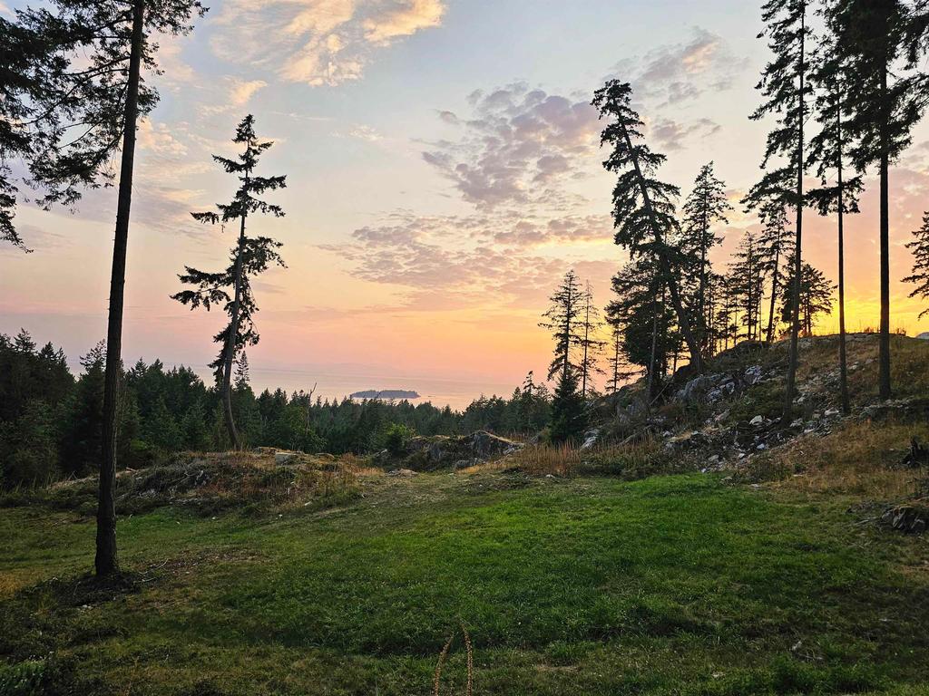 Listing Image for R3049725