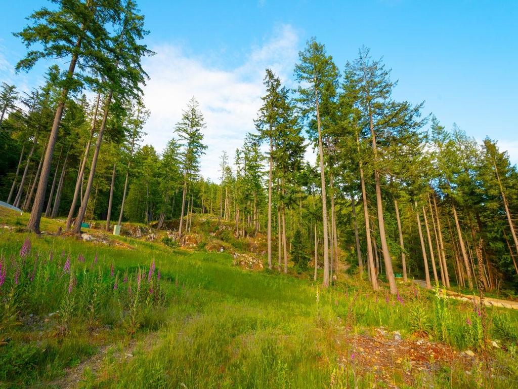 Listing Image for R3049725