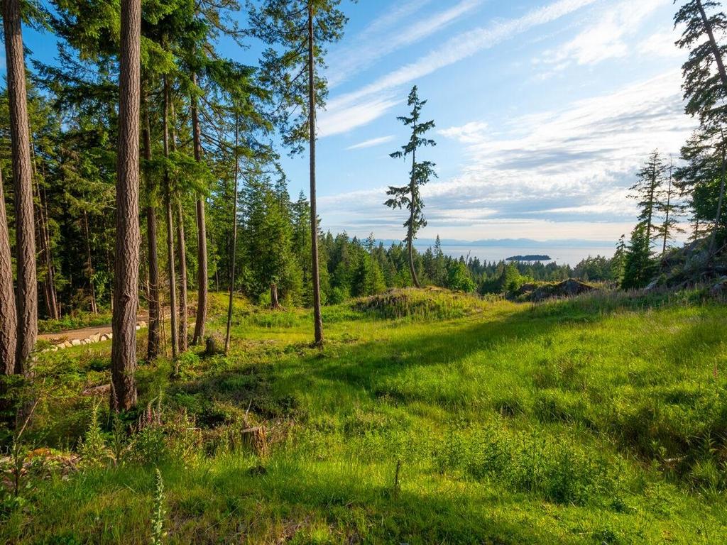 Listing Image for R3049725