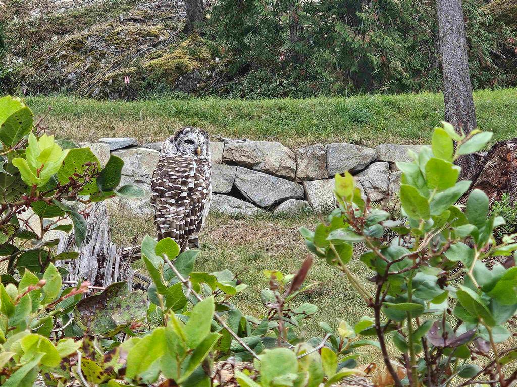 Listing Image for R3049726