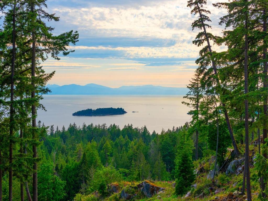 Listing Image for R3049728