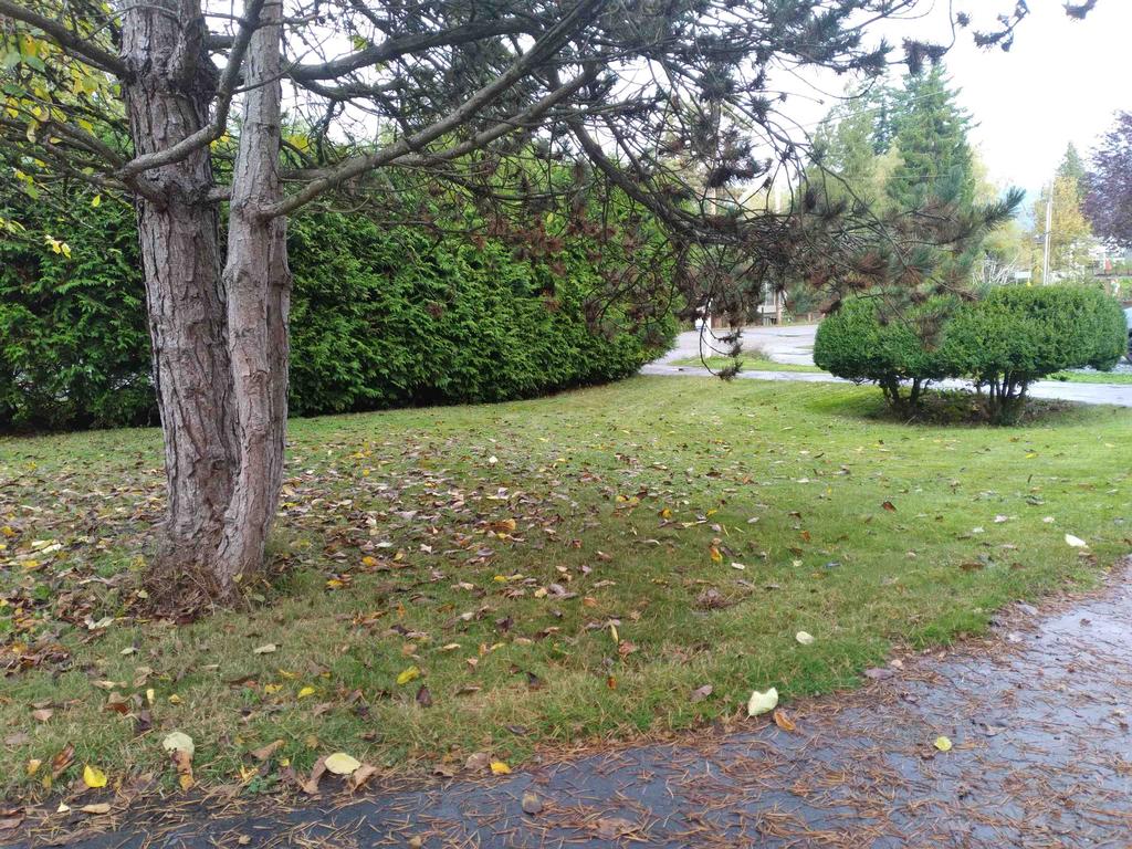 Listing Image for R3049740