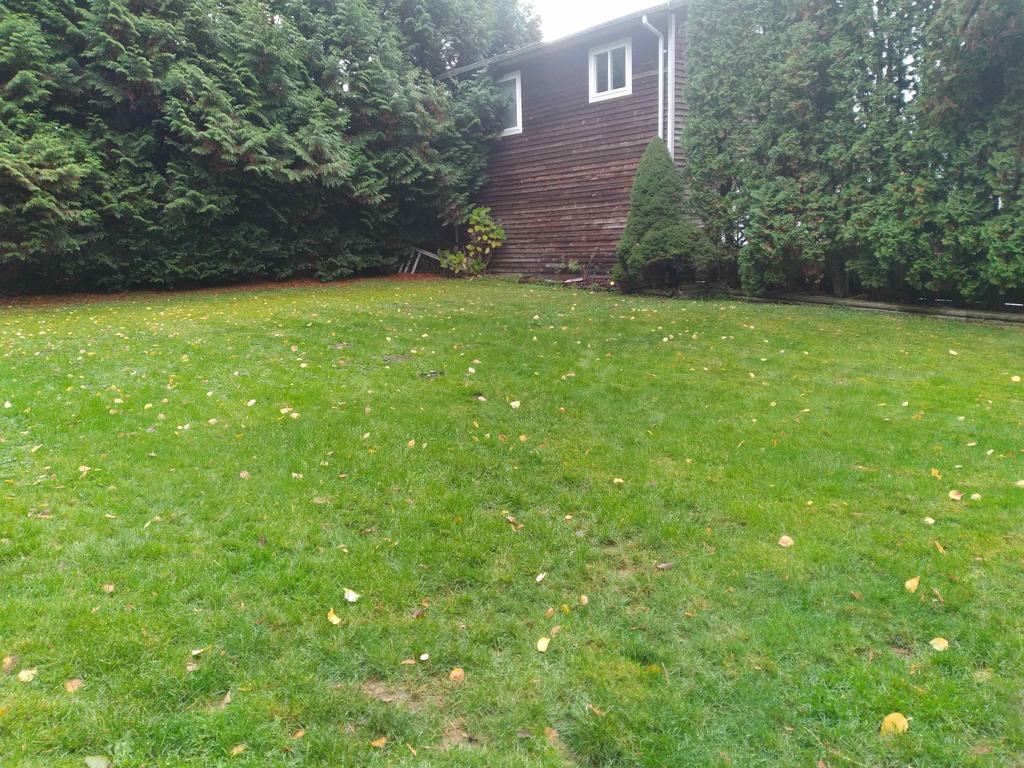 Listing Image for R3049740