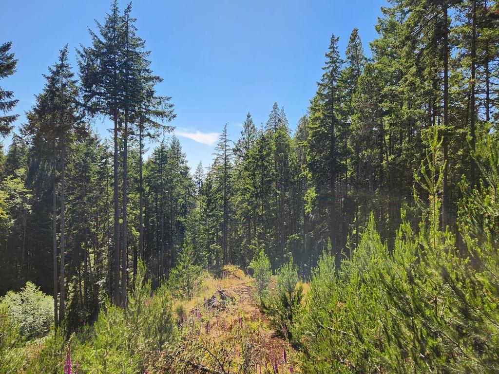 Listing Image for R3053719