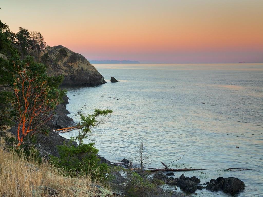 Listing Image for R3053719