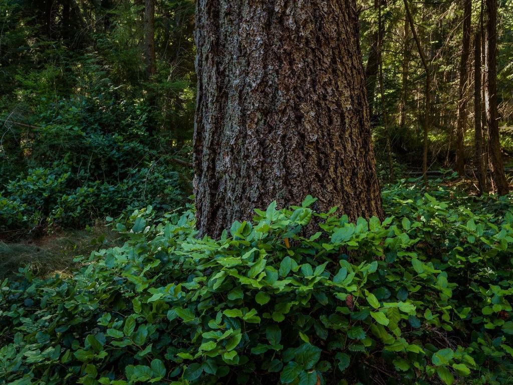 Listing Image for R3053719