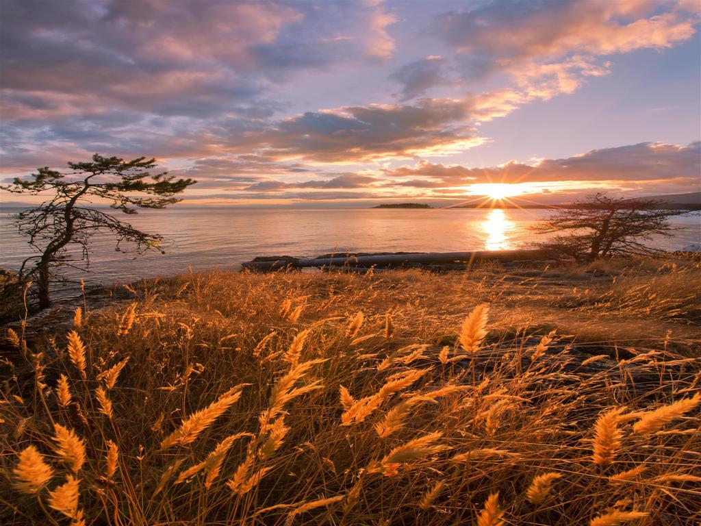 Listing Image for R3053719