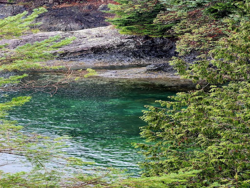 Listing Image for R3053719