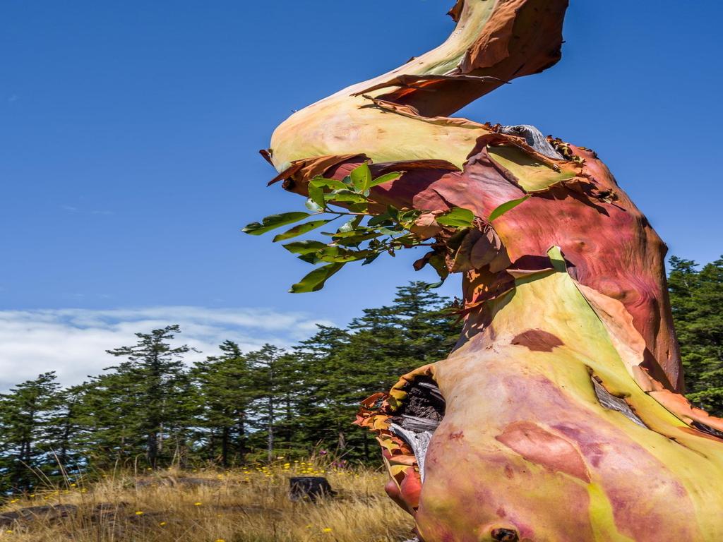 Listing Image for R3053719