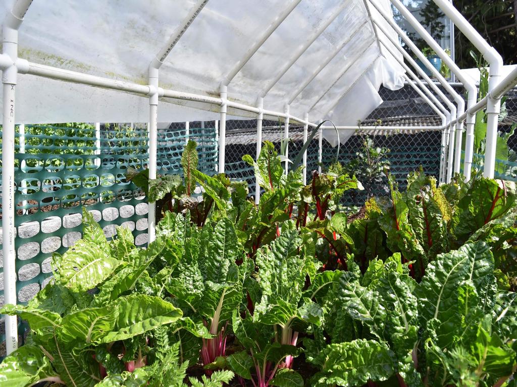 Listing Image for R3054100