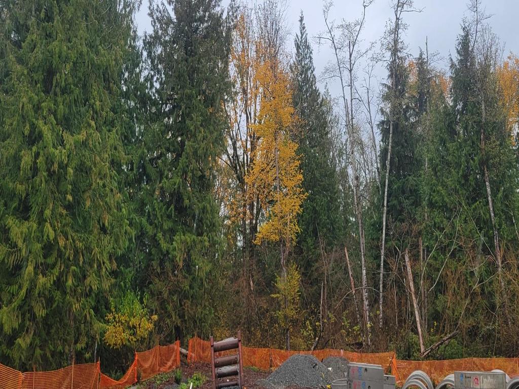 Listing Image for R3056940