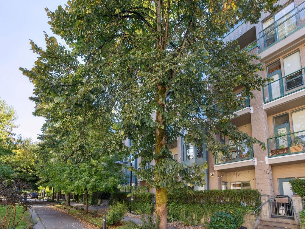 Listing Image for R3058499