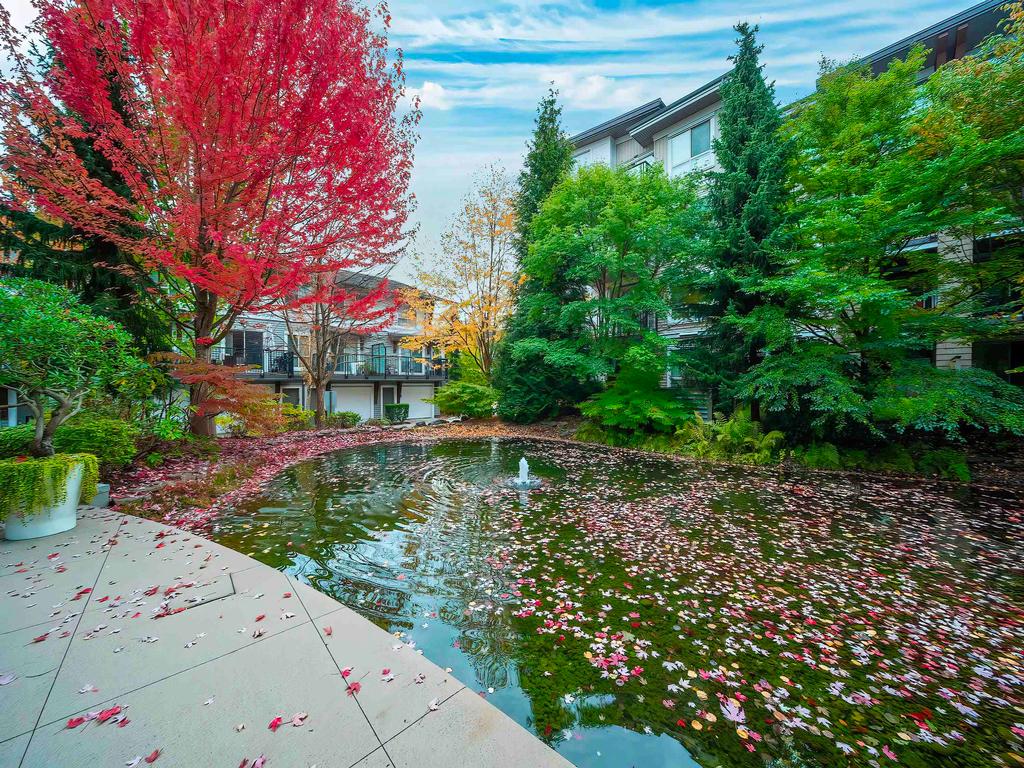 Listing Image for R3059233