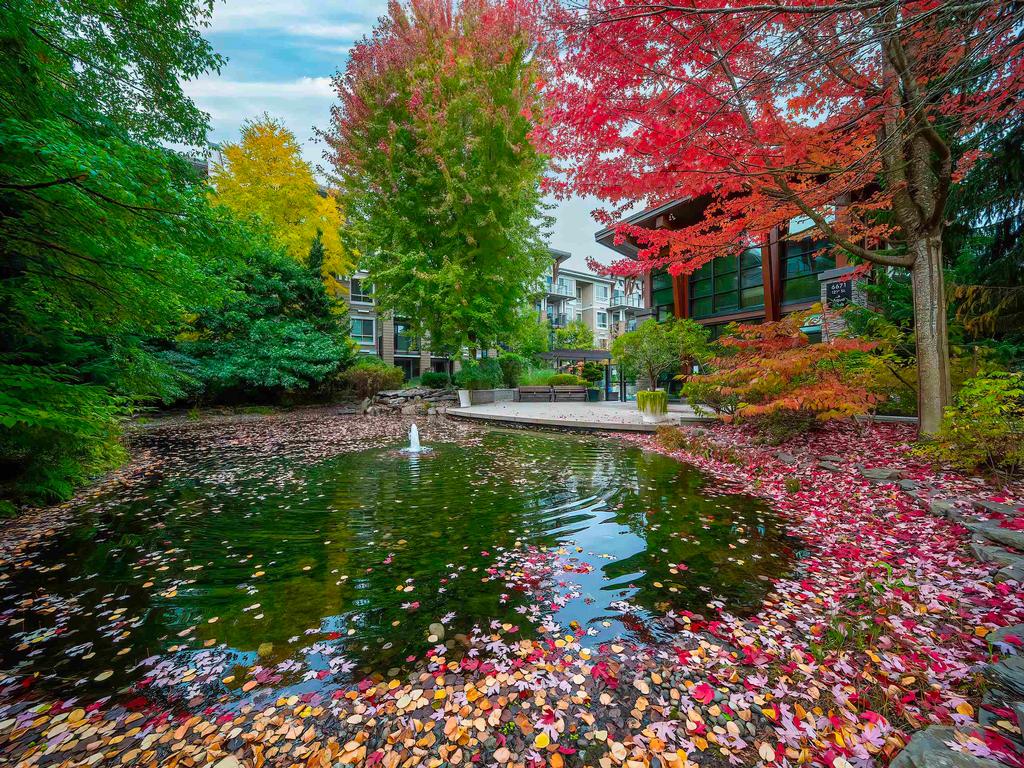 Listing Image for R3059233