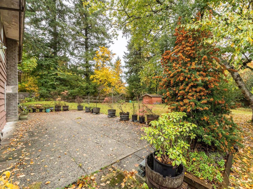 Listing Image for R3062192