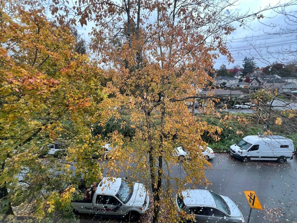 Listing Image for R3062325