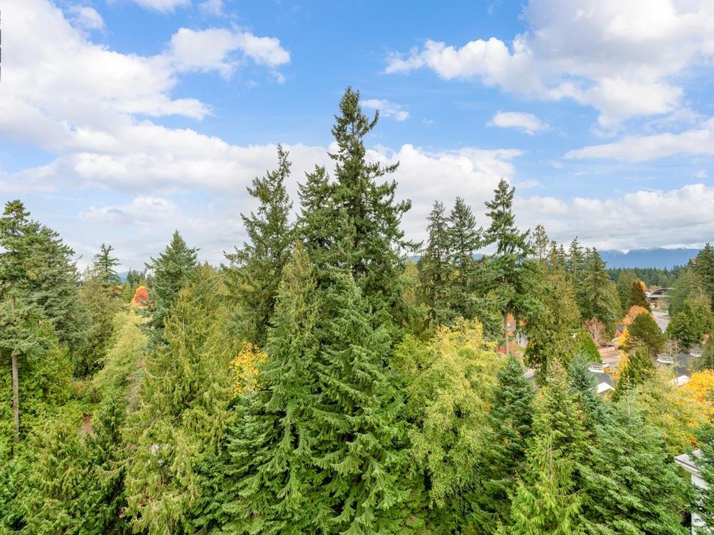 Listing Image for R3063435