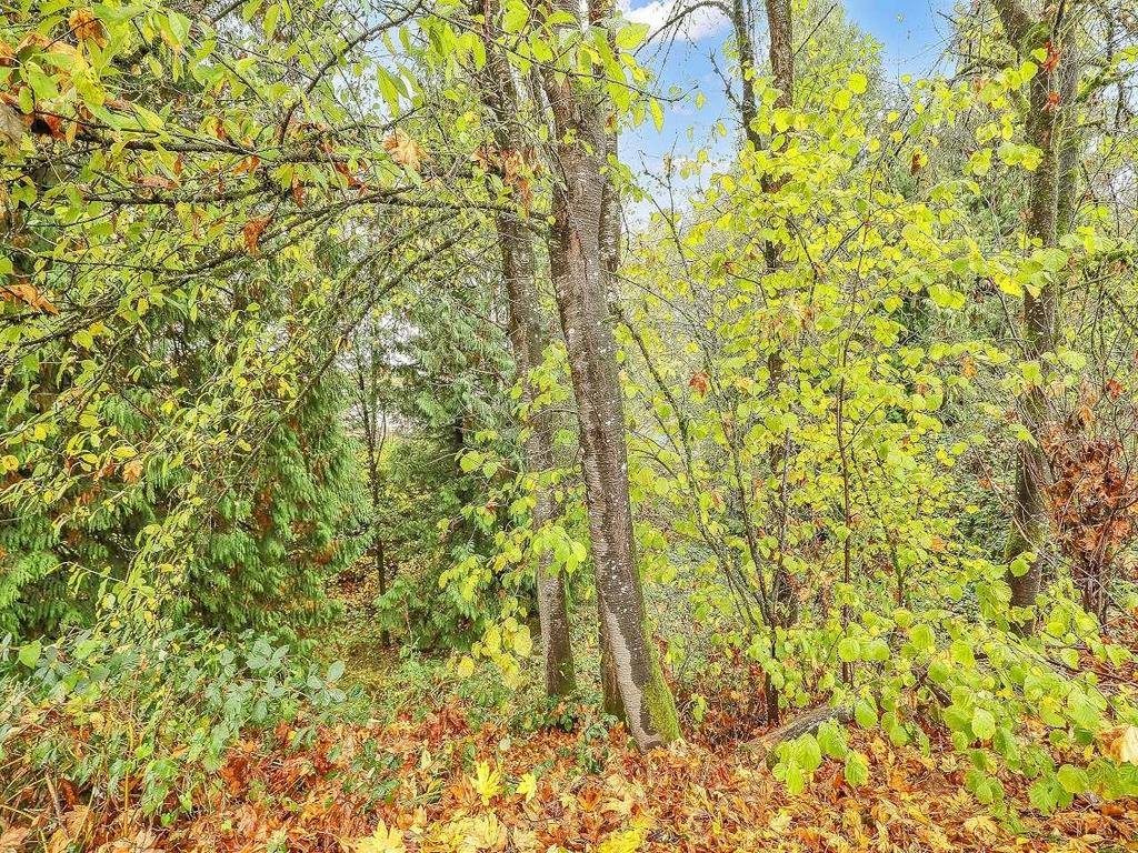 Listing Image for R3065483