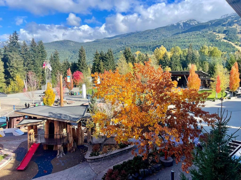 Listing Image for R3065835