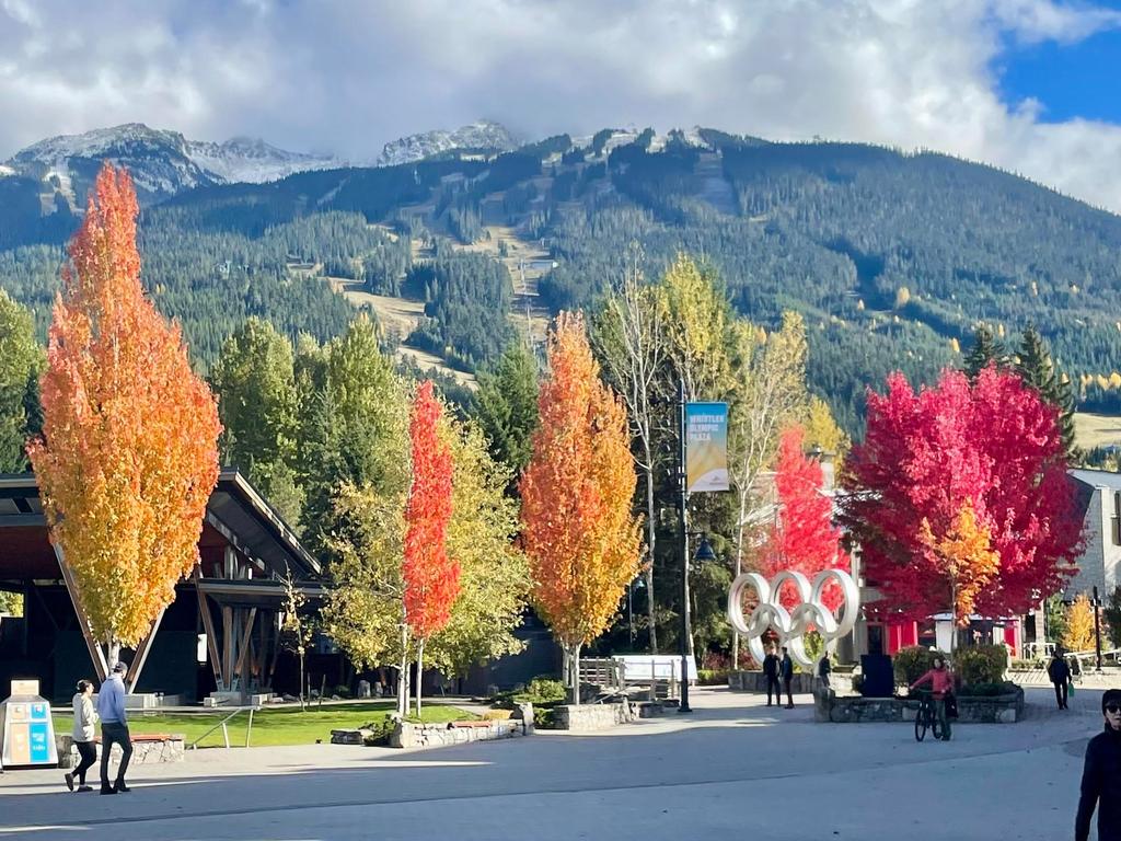 Listing Image for R3065835