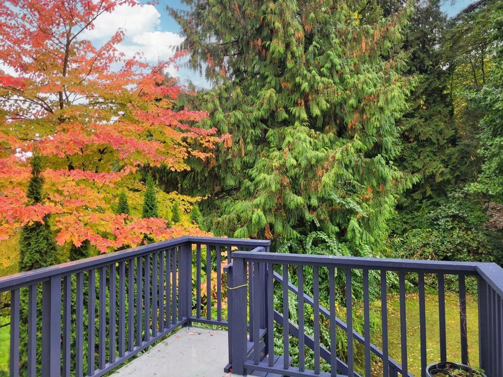 Listing Image for R3066084