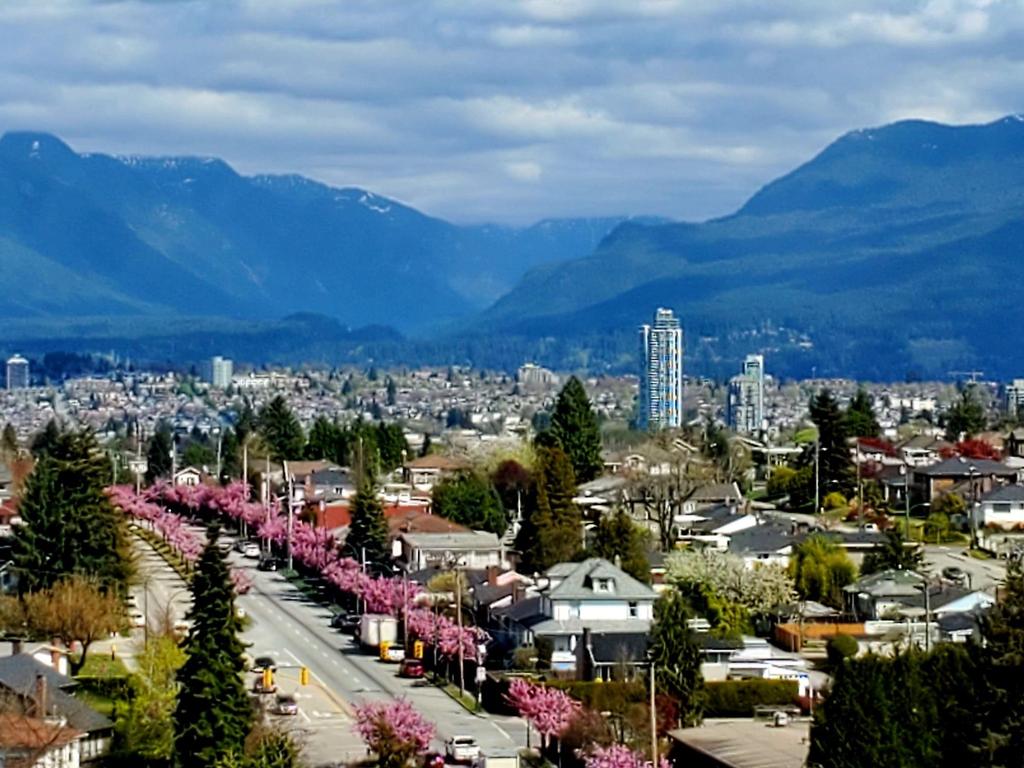 Listing Image for R3066191