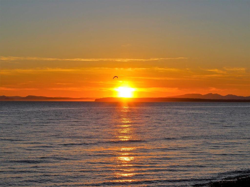 Listing Image for R3066463