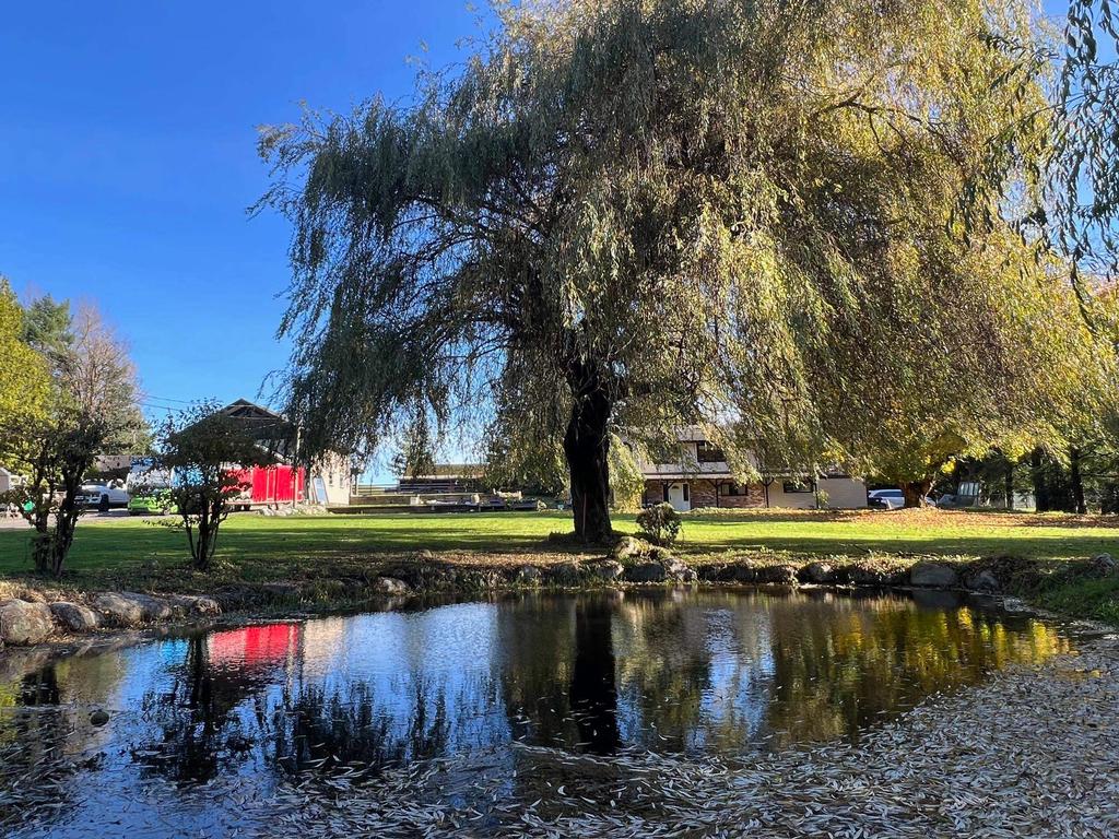 Listing Image for R3067080