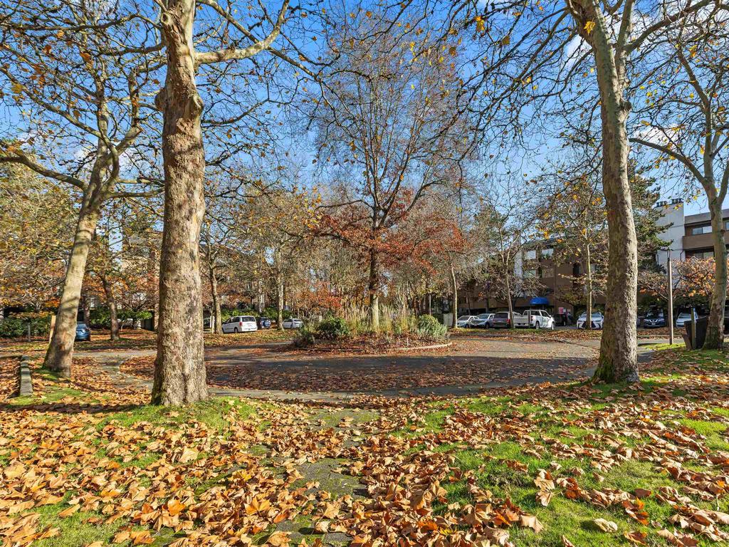 Listing Image for R3067702