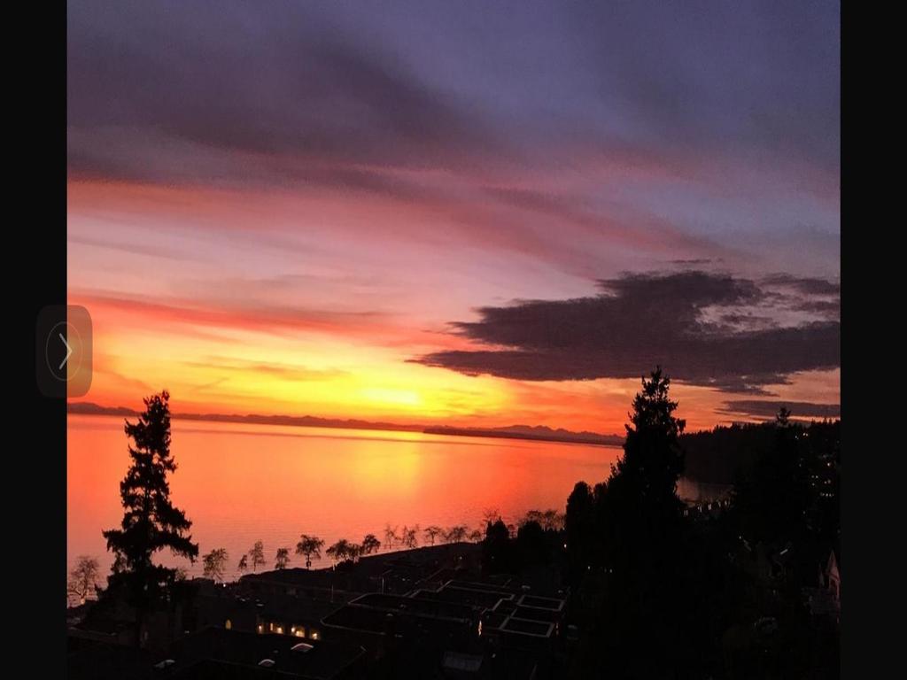 Listing Image for R3069335