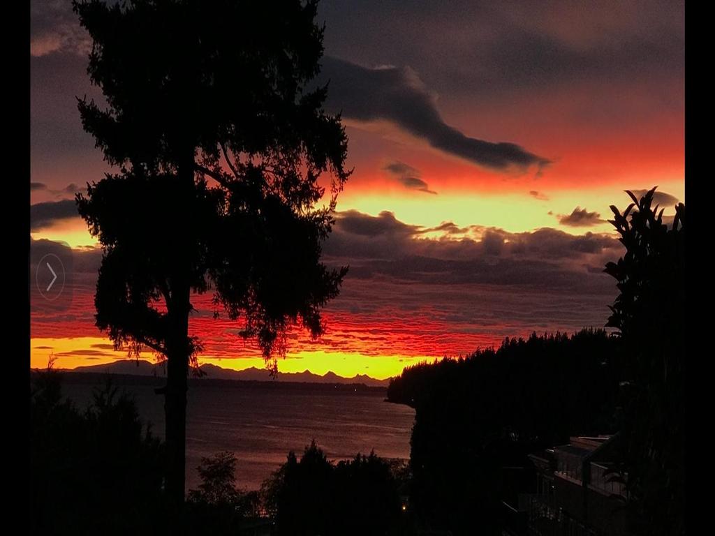 Listing Image for R3069335