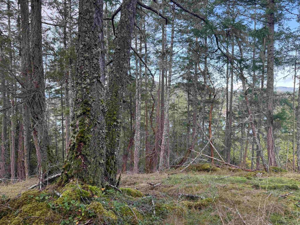 Listing Image for R3069731