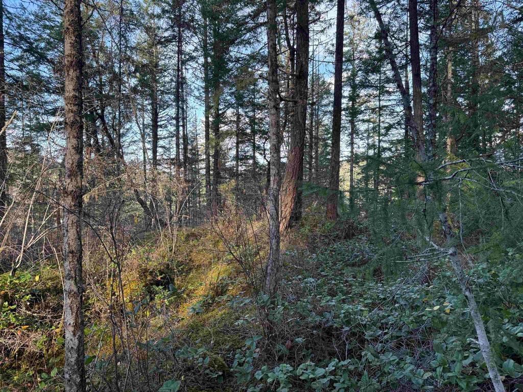 Listing Image for R3069731