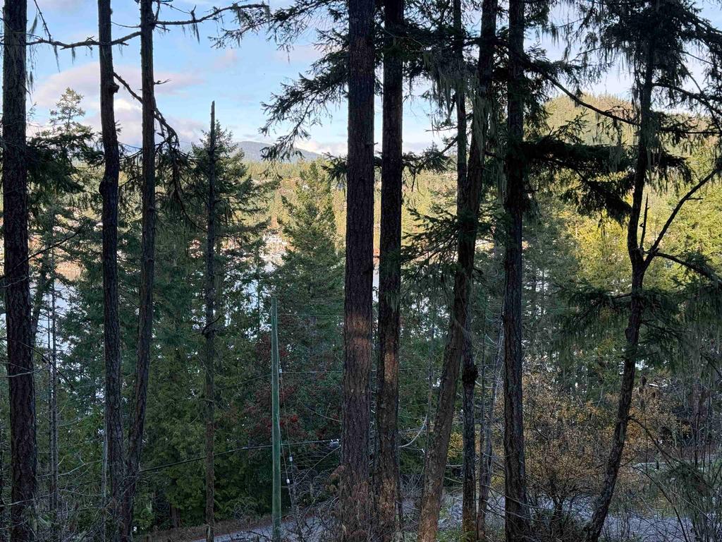 Listing Image for R3069731