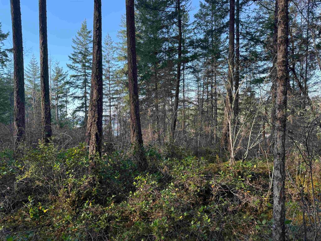 Listing Image for R3069731