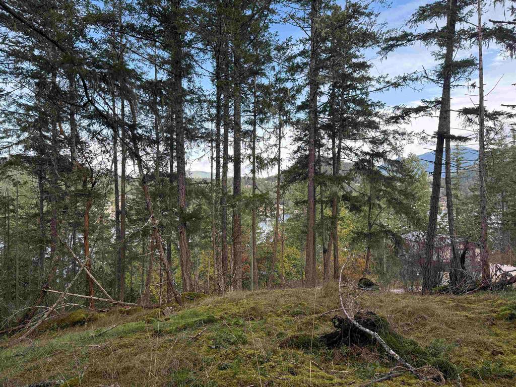 Listing Image for R3069731
