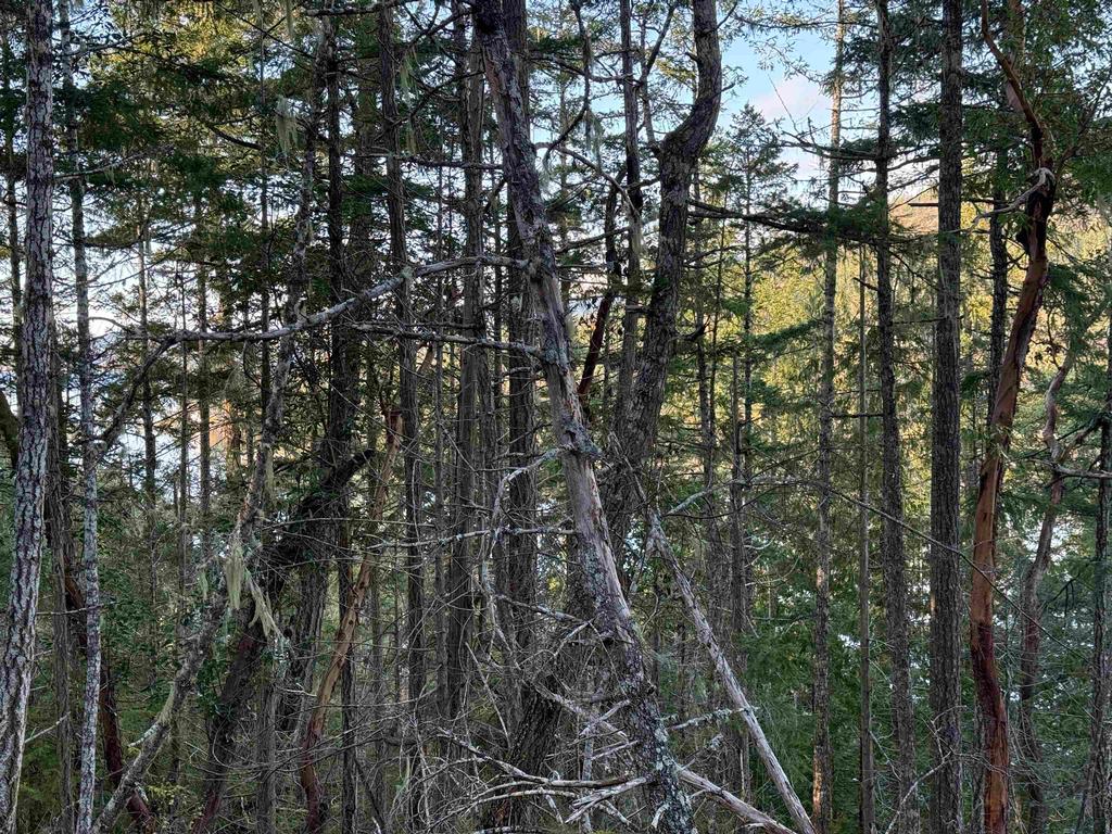 Listing Image for R3069731