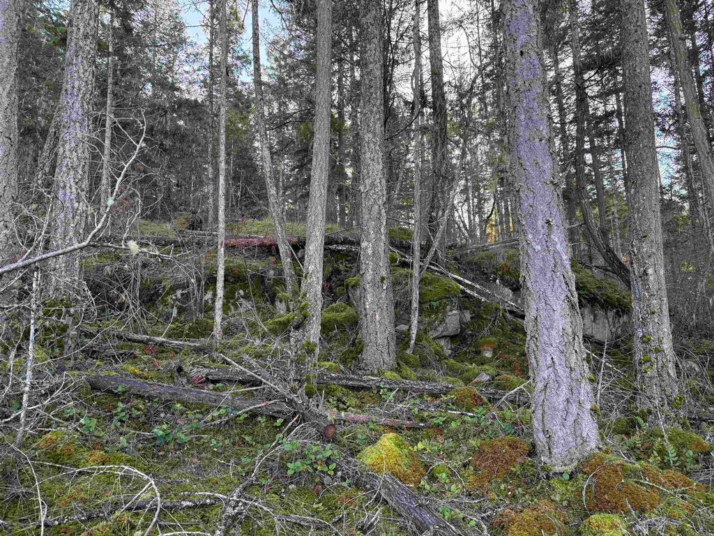 Listing Image for R3069731
