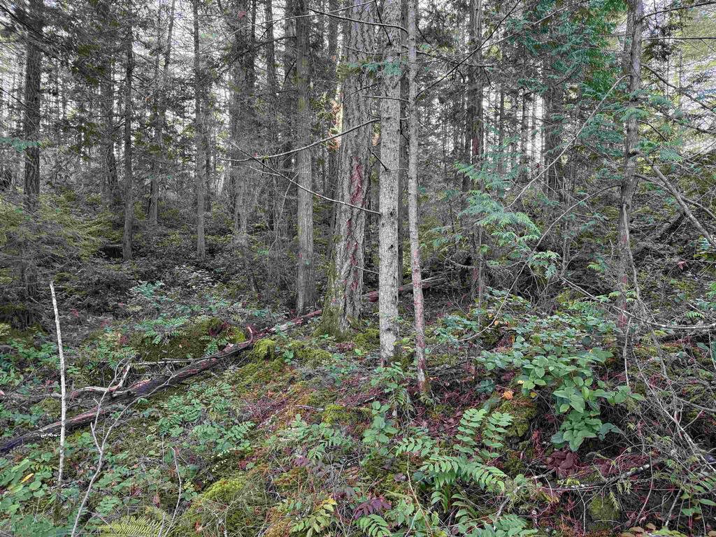 Listing Image for R3069731