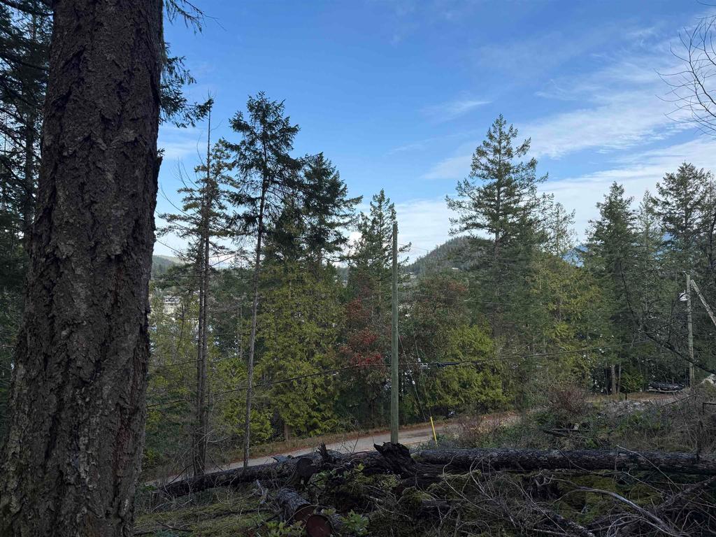 Listing Image for R3069731