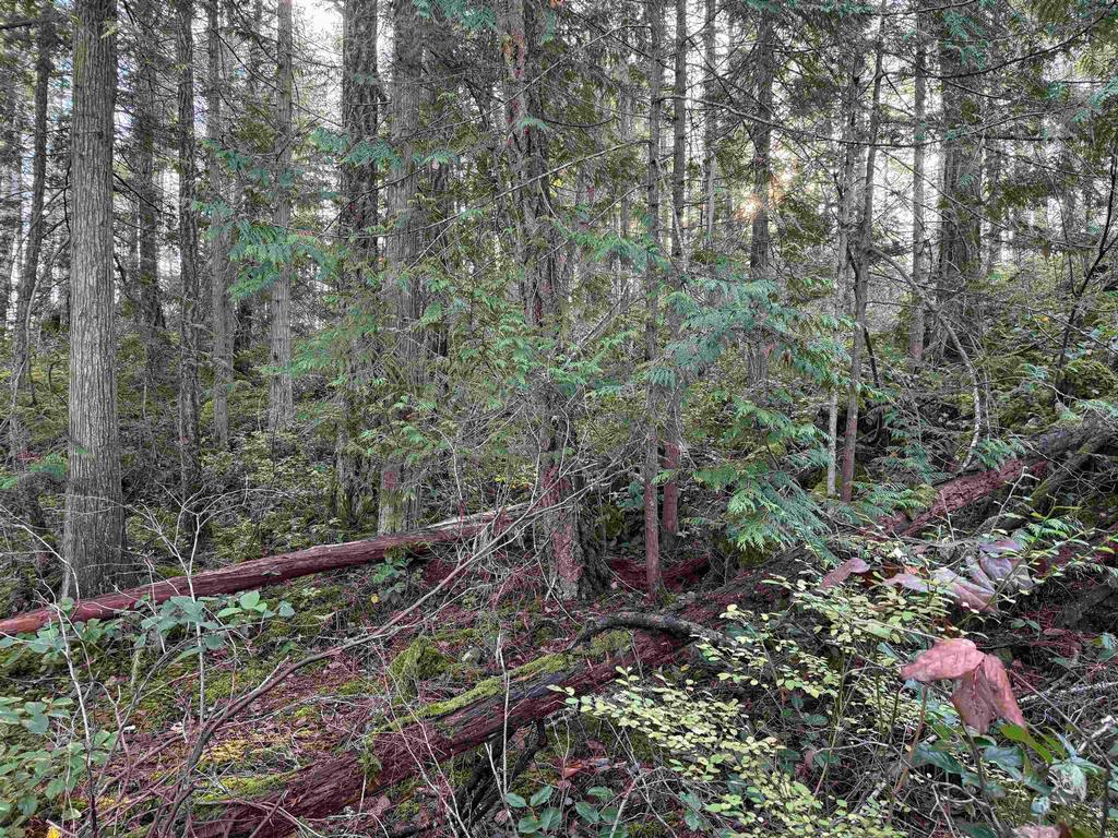 Listing Image for R3069731