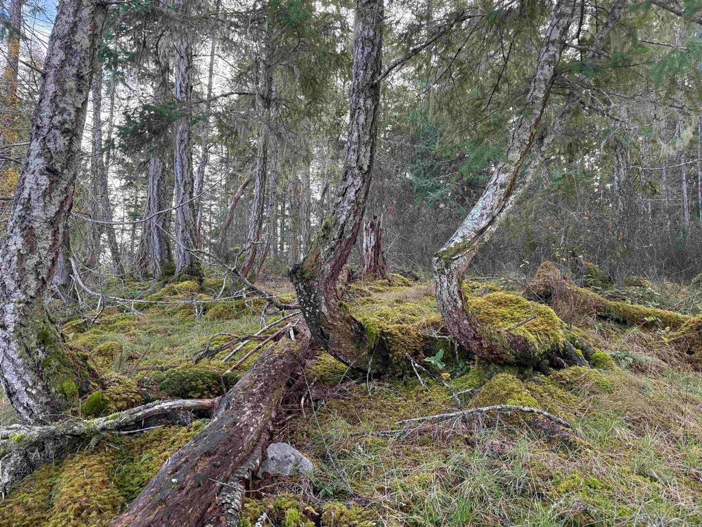 Listing Image for R3069731